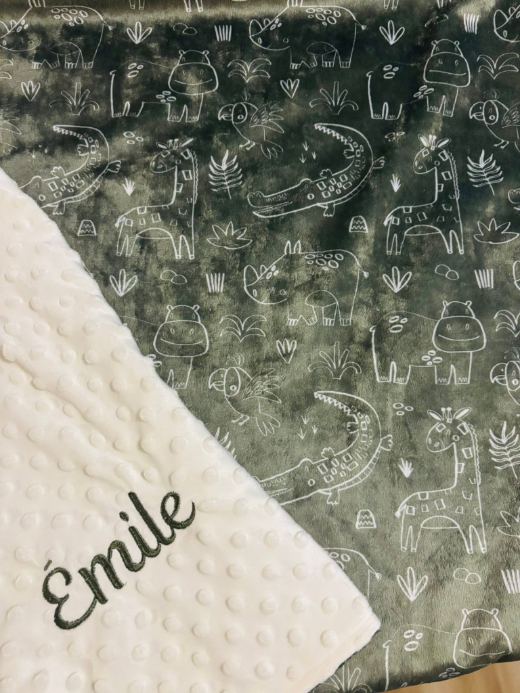 Couverture personnalisée · Emile
